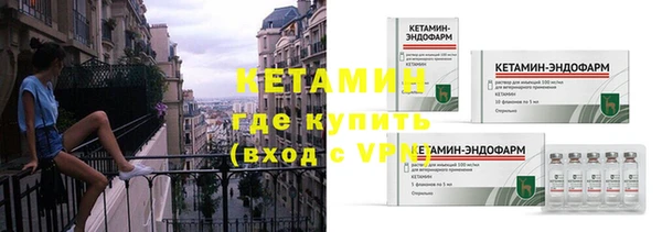 прущие грибы Зарайск