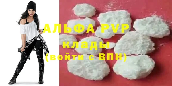 стаф Ступино