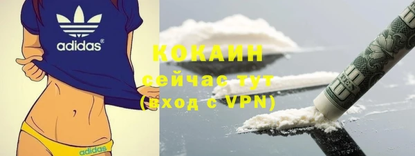 твердый Белокуриха