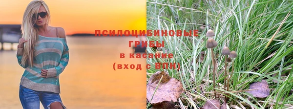 твердый Белокуриха