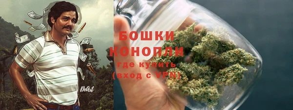 стаф Белоозёрский
